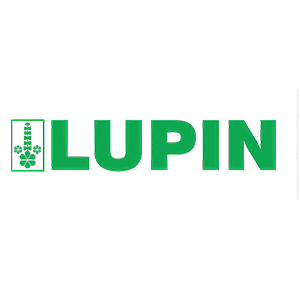 Lupin